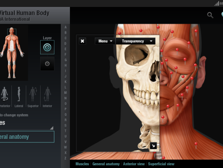 Virtual Human Body for Android
